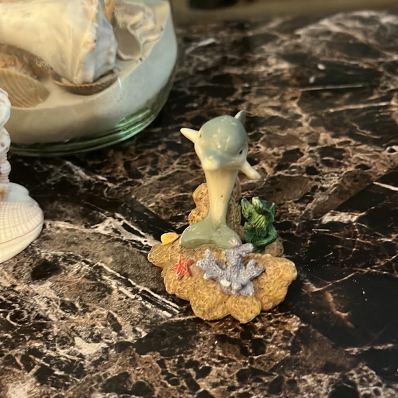 Sea shells - Picture 5 of 7